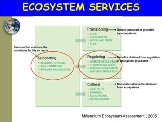 ECOSYSTEM SERVICES

                                                Goods produced or provided
                                                by ecosystems




Services that maintain the
conditions for life on earth

                                                Benefits obtained from regulation
                                                of ecosystem processes




                                                Non-material benefits obtained
                                                from ecosystems




                               Millennium Ecosystem Assessment , 2005
 