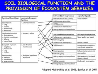 SOIL BIOLOGICAL FUNCTION AND THE
PROVISION OF ECOSYSTEM SERVICES




             Adapted Kibblewhite et al. 2008, Barrios et al, 2011
 