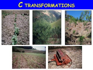 C TRANSFORMATIONS
 