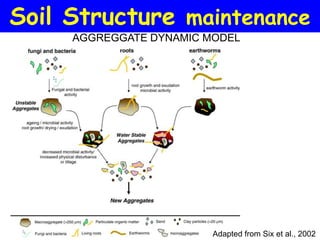 Soil Structure maintenance
     AGGREGGATE DYNAMIC MODEL




                         Adapted from Six et al., 2002
 