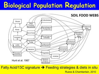 Biological Population Regulation
                                            SOIL FOOD WEBS




      Hunt et al. 1987

Fatty Acid/13C signature  Feeding strategies & diets in situ
                                        Ruess & Chamberlain, 2010
 