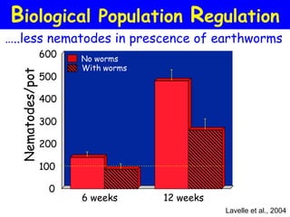 Biological Population Regulation
…..less nematodes in prescence of earthworms
                  600   No worms
                        With worms     A
  Nematodes/pot


                  500

                  400

                  300                        B

                  200
                         a
                  100             b

                   0
                        6 weeks       12 weeks
                                                 Lavelle et al., 2004
 