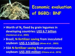 Economic evaluation
                             of BGBD: BNF


Worth of N2 fixed by grain legumes in
 developing countries: US$ 6.7 billion
  (Hardarson et al., 2003)

Brazil, N-fertilizer saving from inoculated
 soybean: US$ 2.5 billion (Alves et al. , 2003)
SSA N-fertilizer saving from promiscuous
 soybean: US$ 203 million (Chianu et al., 2010)
 