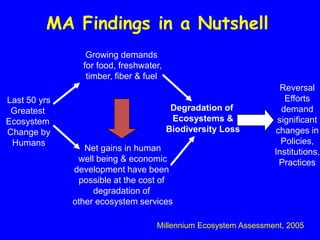 MA Findings in a Nutshell
                 Growing demands
                for food, freshwater,
                 timber, fiber & fuel
                                                                  Reversal
Last 50 yrs                                                        Efforts
 Greatest                                Degradation of           demand
Ecosystem                                Ecosystems &            significant
Change by                               Biodiversity Loss       changes in
 Humans                                                           Policies,
                 Net gains in human                             Institutions,
               well being & economic                             Practices
              development have been
               possible at the cost of
                   degradation of
              other ecosystem services

                                   Millennium Ecosystem Assessment, 2005
 
