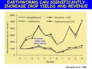 EARTHWORMS CAN SIGNIFICANTLY
INCREASE CROP YIELDS AND REVENUE




           Increases:
           >200% yield
           5500 USD/ha




                         Senapati et al. 1996
 
