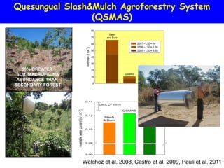 Quesungual Slash&Mulch Agroforestry System
                 (QSMAS)
                                                                           80
                                                                                     Slash
                                                                           70       and Burn

                                                                           60                            2007 – LSD= ns
                                                                                                         2006 – LSD= 1.08




                                                      Soil loss (t ha-1)
                                                                           50                            2005 – LSD= 6.59

                                                                           40

                                                                           30

   30% GREATER                                                             20
 SOIL MACROFAUNA                                                           10
                                                                                                 QSMAS
                                                                                                           Secondary
 ABUNDANCE THAN                                                                                              Forest
                                                                           0
SECONDARY FOREST


                                                      0.14
                                                                                LSD0.05= 0.015
                   Available water content (m3 m-3)




                                                                                                 QSMAS         Sec.
                                                      0.12                                                    Forest
                                                                                  Slash
                                                                                  & Burn


                                                      0.10




                                                      0.08



                                                      0.00


                                                  Welchez et al. 2008, Castro et al. 2009, Pauli et al. 2011
 