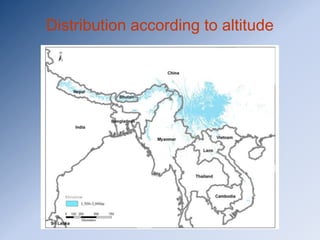 Distribution according to altitude
 