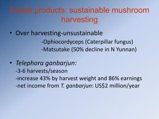Forest products: sustainable mushroom
              harvesting
• Over harvesting-unsustainable
          -Ophiocordyceps (Caterpillar fungus)
          -Matsutake (50% decline in N Yunnan)

• Telephora ganbarjun:
 -3-6 harvests/season
 -increase 43% by harvest weight and 86% earnings
 -net income from T. ganbarjun: US$2 million/year
 