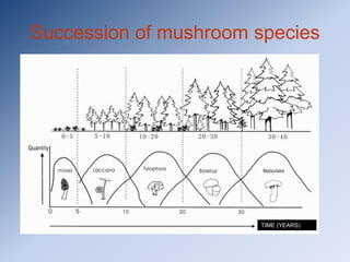 Succession of mushroom species




                       TIME (YEARS)
 