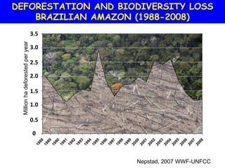DEFORESTATION AND BIODIVERSITY LOSS
    BRAZILIAN AMAZON (1988-2008)
                                   3.5
  Million ha deforested per year


                                   3.0

                                   2.5

                                   2.0

                                   1.5

                                   1.0

                                   0.5

                                   0



                                         Nepstad, 2007 WWF-UNFCC
 