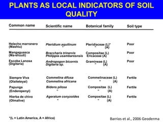 PLANTS AS LOCAL INDICATORS OF SOIL
             QUALITY
Common name              Scientific name         Botanical family          Soil type



Helecho marranero        Pteridium aquilinum     Pteridiaceae (L)*         Poor
(Mashiu)                           “                   “      (A)
Mangaguasca              Braccharis trinervis    Compositae (L)            Poor
(Ma-shuuti)              Philippia usambaresnsis Ericaceae (A)
Escoba Lanosa            Andropogon bicornis     Gramineae (L)             Poor
(Digitaria)              Digitaria sp.                “    (A)



Siempre Viva             Commelina difusa         Commelinaceae (L)        Fertile
(Olaiteteyai)            Commelina africana            “        (A)
Papunga                  Bidens pilosa            Compositae (L)           Fertile
(Enderepenyi)                  “                      “      (A)
Hierba de chivo          Ageratum conyzoides      Compositae (L)           Fertile
(Olmalive)                     “                      “      (A)




*(L = Latin America, A = Africa)                                  Barrios et al., 2006 Geoderma
 