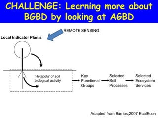 CHALLENGE: Learning more about
     BGBD by looking at AGBD
                                        REMOTE SENSING
Local Indicator Plants




                  ‘Hotspots’ of soil           Key           Selected      Selected
                  biological activity          Functional    Soil          Ecosystem
                                               Groups        Processes     Services




                                                    Adapted from Barrios,2007 EcolEcon
 