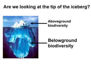 Are we looking at the tip of the iceberg?


                     Aboveground
                     biodiversity



                     Belowground
                     biodiversity
 