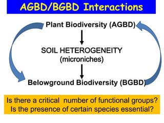 AGBD/BGBD Interactions
            Plant Biodiversity (AGBD)


           SOIL HETEROGENEITY
                (microniches)


      Belowground Biodiversity (BGBD)

Is there a critical number of functional groups?
  Is the presence of certain species essential?
 
