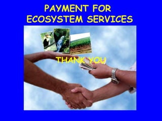PAYMENT FOR
ECOSYSTEM SERVICES



    THANK YOU
 