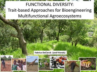 FUNCTIONAL DIVERSITY:
Trait-based Approaches for Bioengineering
      Multifunctional Agroecosystems




             Fabrice DeClerck (and friends)
 