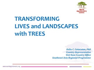 TRANSFORMING
LIVES and LANDSCAPES
with TREES
Delia C. Catacutan, PhD
Country Representative
Viet Nam Country Office
Southeast Asia Regional Programme
 