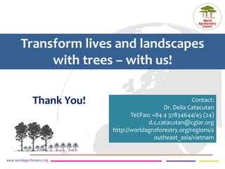 ICRAF Vietnam coffee program: Transforming lives and landscapes with trees