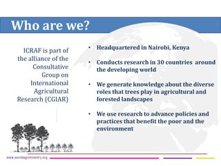 ICRAF Vietnam coffee program: Transforming lives and landscapes with trees