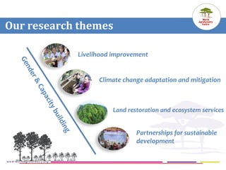 ICRAF Vietnam coffee program: Transforming lives and landscapes with trees