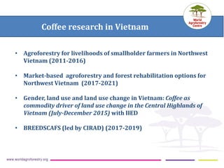 ICRAF Vietnam coffee program: Transforming lives and landscapes with trees