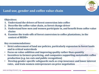 ICRAF Vietnam coffee program: Transforming lives and landscapes with trees