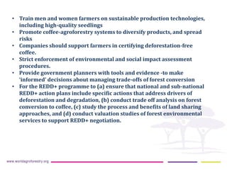 ICRAF Vietnam coffee program: Transforming lives and landscapes with trees