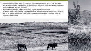 Rangeland Management in Africa Research and case studies | PDF