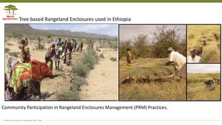 Communal Rangelands Rangeland Management in Africa Research and case studies | PDF