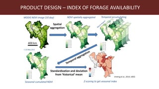 Index-insurance to protect pastoralists from drought shocks