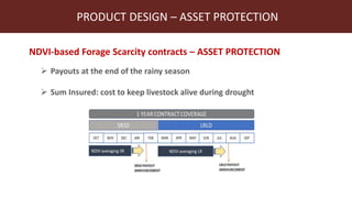 Index-insurance to protect pastoralists from drought shocks
