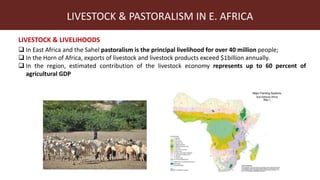 Index-insurance to protect pastoralists from drought shocks