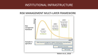 Index-insurance to protect pastoralists from drought shocks
