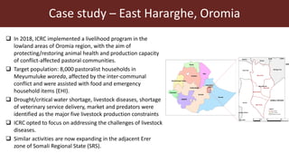 Index-insurance to protect pastoralists from drought shocks