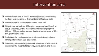 Index-insurance to protect pastoralists from drought shocks