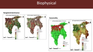 Index-insurance to protect pastoralists from drought shocks