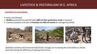 Index-insurance to protect pastoralists from drought shocks