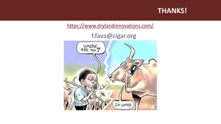 Index-insurance to protect pastoralists from drought shocks