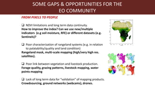 Index-insurance to protect pastoralists from drought shocks