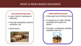 Index-insurance to protect pastoralists from drought shocks