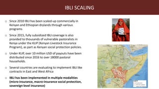 Index-insurance to protect pastoralists from drought shocks