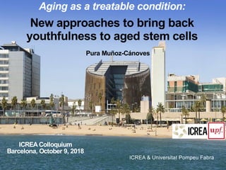 ICREA & Universitat Pompeu Fabra
Aging as a treatable condition:
New approaches to bring back
youthfulness to aged stem cells
ICREA Colloquium
Barcelona, October 9, 2018
Pura Muñoz-Cánoves
 