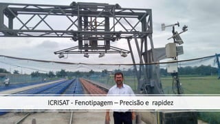ICRISAT - Fenotipagem – Precisão e rapidez
 