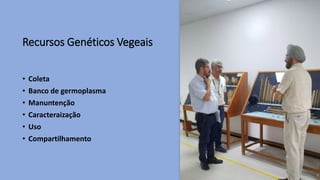 Recursos Genéticos Vegeais
• Coleta
• Banco de germoplasma
• Manuntenção
• Caracteraização
• Uso
• Compartilhamento
 
