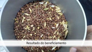 Resultado do beneficiamento
 