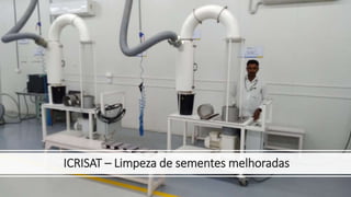 ICRISAT – Limpeza de sementes melhoradas
 