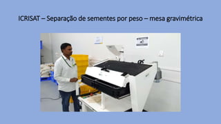 ICRISAT – Separação de sementes por peso – mesa gravimétrica
 