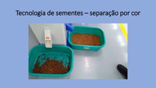 Tecnologia de sementes – separação por cor
 