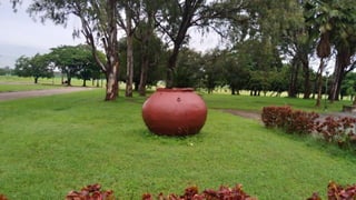 ICRISAT - Breeding programs - 25 set 2023.pptx