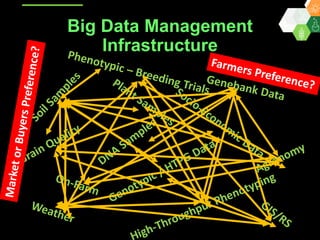 ICRISAT Global Planning Meeting 2019: Research Data Management by Abhishek Rathore